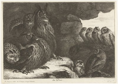 Baglyok egy barlangban des Ducs (cím az objektumon) Madarak a Versailles-i menazsériából (sorozat címe) alkotó: Peeter Boel (attributed to)