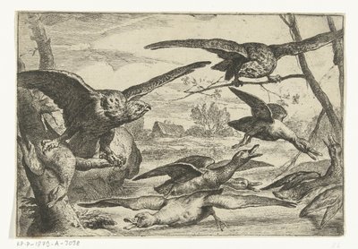 Roofvogels Különböző madarak (sorozat címe) alkotó: Peeter Boel
