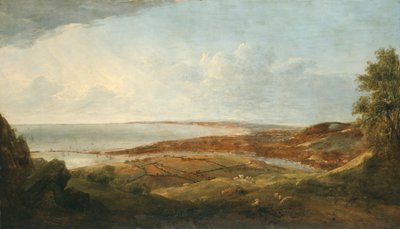 Swansea, 1830. alkotó: Penry Williams