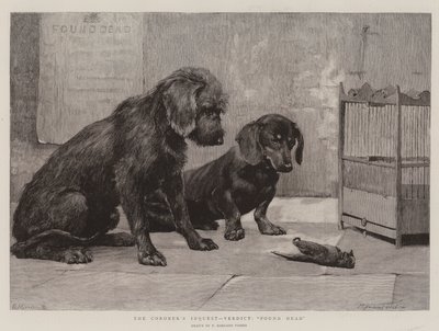 A halottkém vizsgálata, ítélet, holtan találták alkotó: Percy Harland Fisher