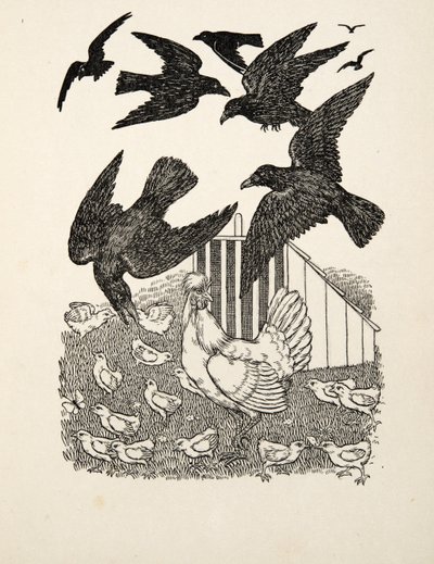 Számoló varjú, az Állatok száz anekdotájából, pub. 1924 alkotó: Percy J. Billingshurst