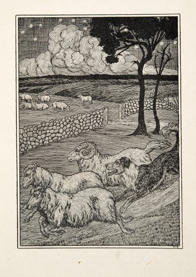 Egy kutyás juhlopó, az Állatok száz anekdotájából, pub. 1924 alkotó: Percy J. Billingshurst