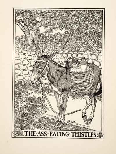 A bogáncsot evő szamár, A Hundred Fables of Aesopus, pub.1903 alkotó: Percy J. Billingshurst