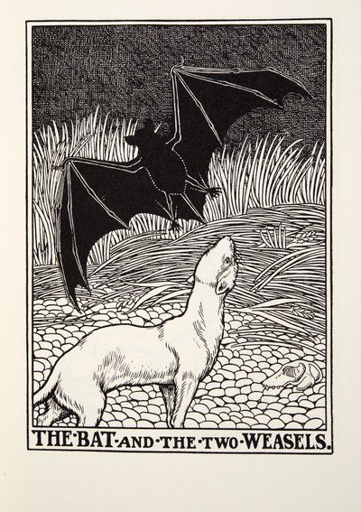 A denevér és a két menyét, a Fontaine Fables-ből, pub. 1905 alkotó: Percy J. Billingshurst