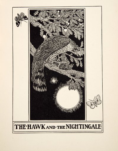 A sólyom és a csalogány, A Hundred Fables of Aesopus, pub.1903 alkotó: Percy J. Billingshurst