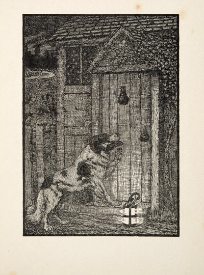 Az újfundlandi kutya az Állatok száz anekdotájából, pub. 1924 alkotó: Percy J. Billingshurst