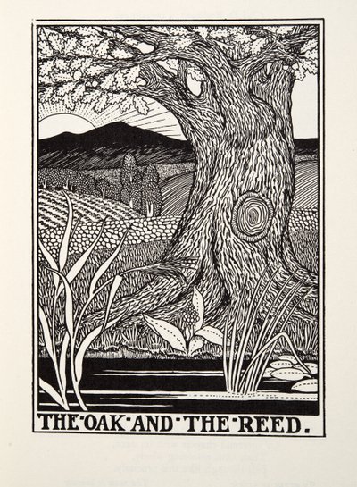 The Oak and the Reed, a Fontaine Fables, kocsma. 1905 alkotó: Percy J. Billingshurst