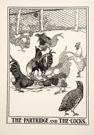 A Partridge és a kakasok, A Hundred Fables of Aesopus, pub.1903 alkotó: Percy J. Billingshurst