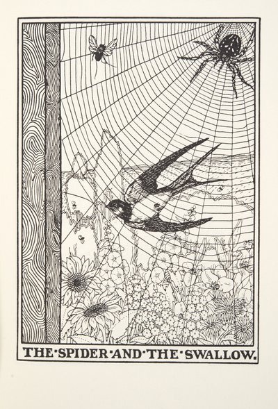 A Pók és a fecske, a Fontaine Fables-ből, pub. 1905 alkotó: Percy J. Billingshurst
