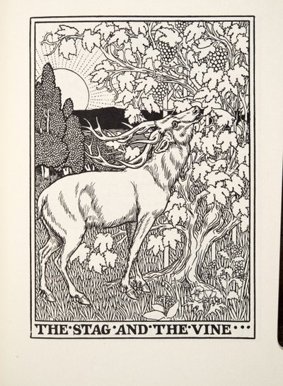 The Stag and the Vine, a Fontaine Fables, kocsma. 1905 alkotó: Percy J. Billingshurst