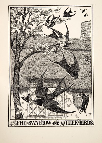 A fecske és más madarak, A Hundred Fables of Aesopus, pub.1903 alkotó: Percy J. Billingshurst