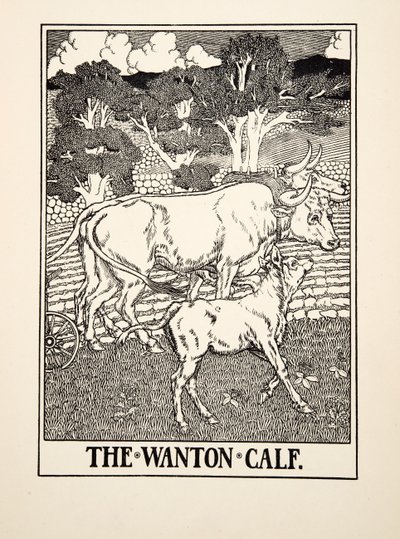 The Wanton Calf, A Hundred Fables of Aesop, pub.1903 alkotó: Percy J. Billingshurst