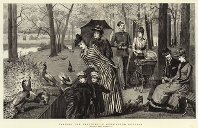 A pávák etetése a Kensington Gardensben (metszet) alkotó: Percy Macquoid