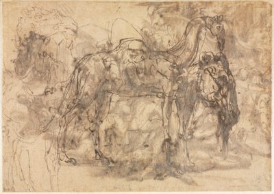 Vázlatok az állatokról verso, c. 154547. alkotó: Perino del Vaga