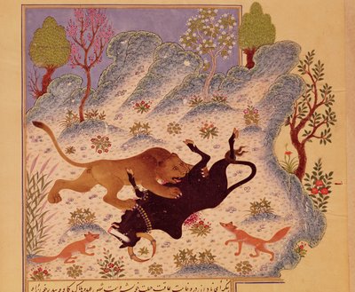 Oroszlán támad és megöl egy bikát, egy Kabila wa Dimna kéziratból (guache papíron) alkotó: Persian School