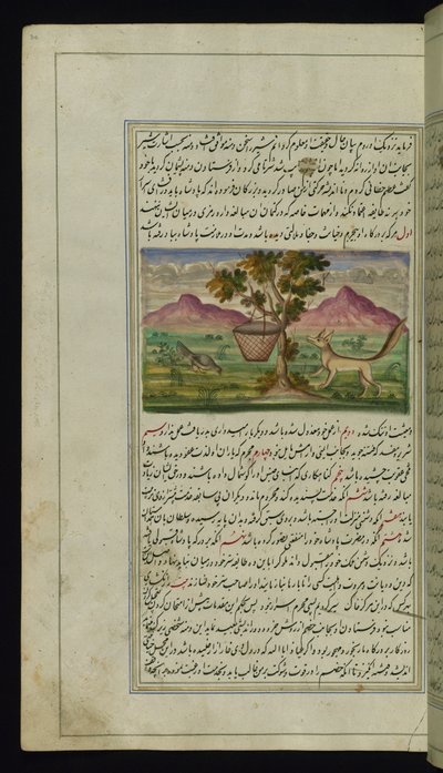 Egy róka és egy dob a Lights of Canopustól alkotó: Persian School