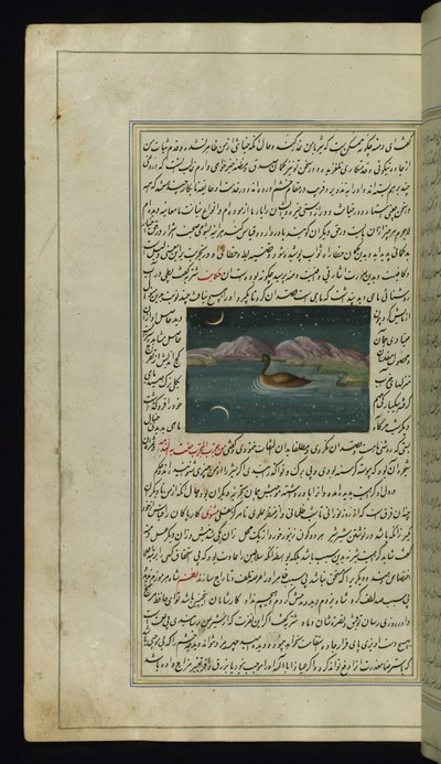 Egy liba és a hold tükörképe a vízben a Lights of Canopusból alkotó: Persian School