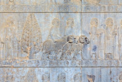 Bas domborművek az Apadana palota és lépcsőház falainál, Perszepolisz, Irán (homokkő) alkotó: Persian School