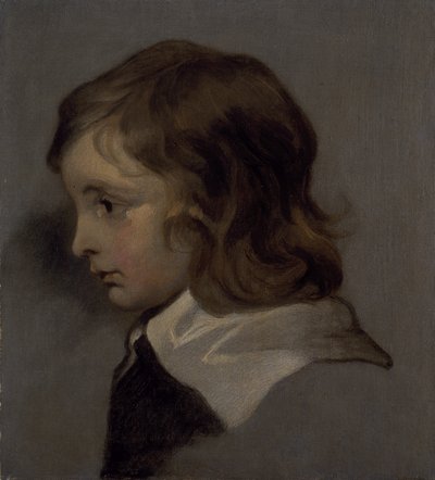 Egy fiatal fiú feje (olaj, vászon) alkotó: Peter (follower of) Lely