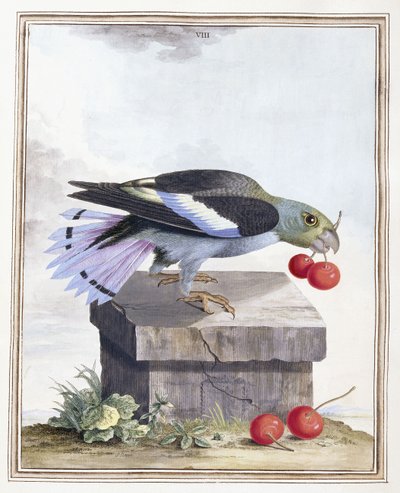 tábla VIII alkotó: Peter Brown