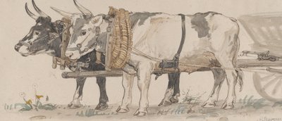Két ökör húz egy szekeret, 1874. alkotó: Peter Christian Thamsen Skovgaard