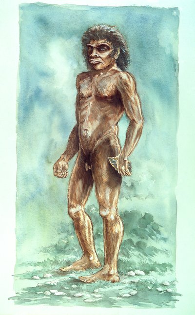 Boxgrove ember, őskori, 1990-2010 alkotó: Peter Dunn