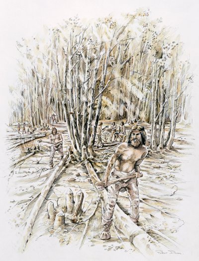 A kovakő koptatás felhasználása, Őskori, c1990-2010 alkotó: Peter Dunn