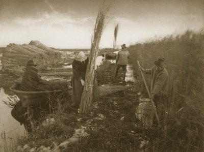 A nádszüret idején, Élet és táj a Norfolk Broads-on, 1886 körül alkotó: Peter Emerson und Thomas Goodall