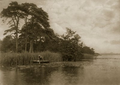 A csuka kísértete, 1886 körül alkotó: Peter Emerson und Thomas Goodall