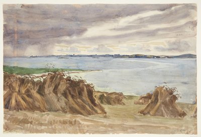Rozs ügetésben. Macska vörös róka. A háttérben Bjørnø alkotó: Peter Hansen