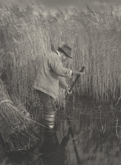 A Reed-cutter at Work, 1886. Alkotók: Dr. Peter Henry Emerson, Thomas Frederick Goodall. alkotó: Peter Henry Emerson, Thomas Frederick Goodall