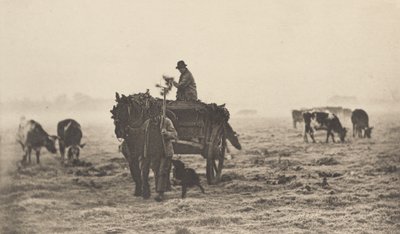 Egy fagyos reggel, 1890-1891, nyomtatva 1893. alkotó: Peter Henry Emerson