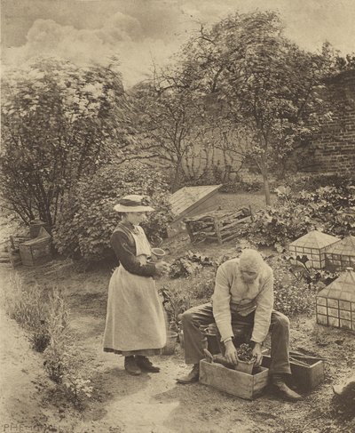  alkotó: Peter Henry Emerson