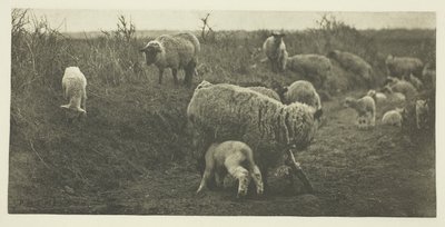 Lelkipásztori menet (Suffolk) alkotó: Peter Henry Emerson