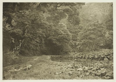 Egy csendes zug Beresford Dale-ben alkotó: Peter Henry Emerson