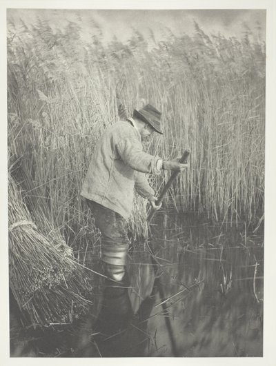 Egy nádvágó munkában alkotó: Peter Henry Emerson