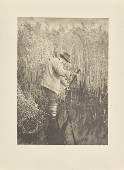  alkotó: Peter Henry Emerson