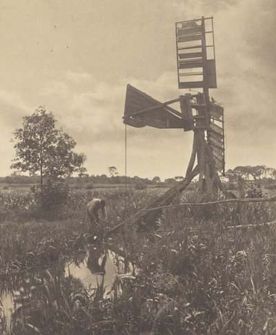  alkotó: Peter Henry Emerson