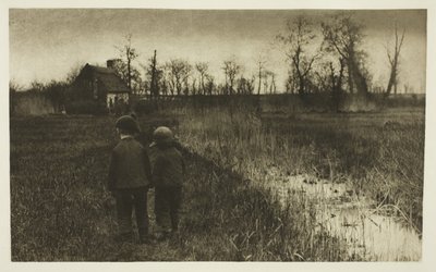 Varangy az ösvényen: kora tavasz Norfolkban alkotó: Peter Henry Emerson
