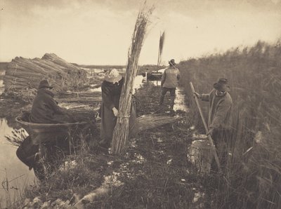  alkotó: Peter Henry Emerson