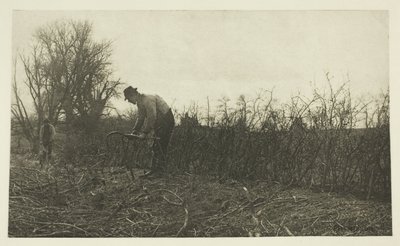 Vívás Suffolkban alkotó: Peter Henry Emerson