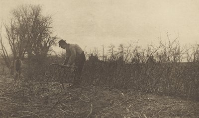 Kerítés Suffolkban alkotó: Peter Henry Emerson