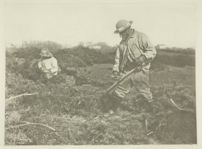 Furze-vágás egy suffolki közönségesen alkotó: Peter Henry Emerson