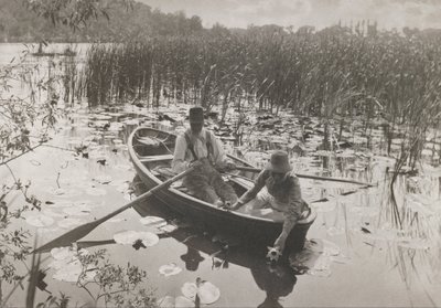 Gyűjtő tavirózsák alkotó: Peter Henry Emerson