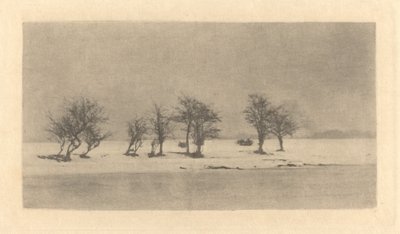 Göcsörtös-tövis fák alkotó: Peter Henry Emerson