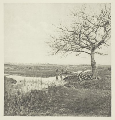 Lombtalan március (Suffolk) alkotó: Peter Henry Emerson