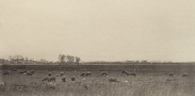 Mocsarak az Északi-tenger mellett alkotó: Peter Henry Emerson