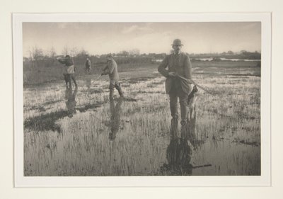Férfiak vadásznak a mocsárban alkotó: Peter Henry Emerson