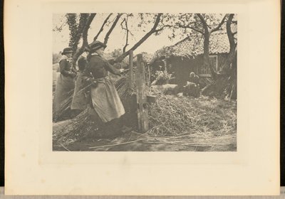 OsierPeeling. [Norfolk]]. alkotó: Peter Henry Emerson
