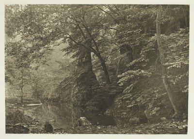 "Pike Pool" (alulról) alkotó: Peter Henry Emerson